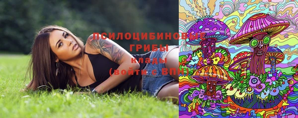 экстази Кулебаки