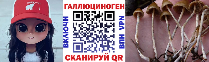 Купить где  Лакинск  Галлюциногенные грибы MAGIC MUSHROOMS 